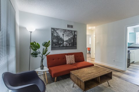 Blue Living Room